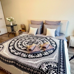 Фотография квартиры Квартира Comfort Home Комфорт Хоум на Улице Романовская 11