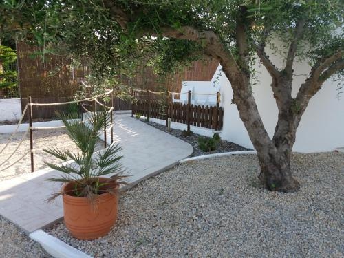 Фотография апарт отеля Delphini Studios