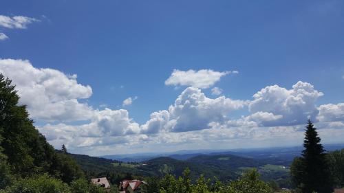 Фотография гостевого дома Ferienbungalow Sonnenwald Bayerischer Wald