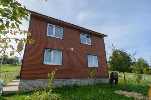 Фотография гостевого дома U Ilka