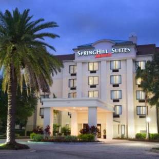 Фотографии гостиницы 
            Springhill Suites Jacksonville