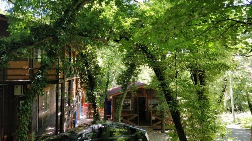 Фотографии гостевого дома
Sinegeria