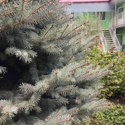 Фотографии хостела
Одесская, 8