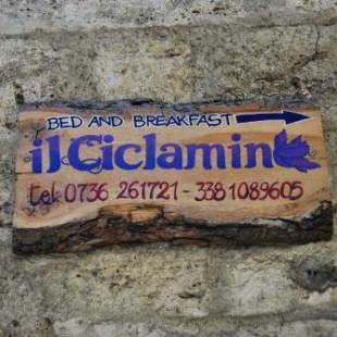 Фотографии мини отеля
Il Ciclamino Bed and Breakfast