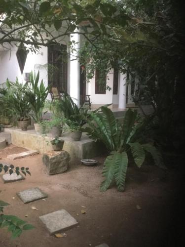 Фотография мини отеля Ramya Villa