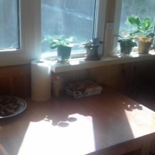 Фотография гостевого дома Уютный домик 133 причал