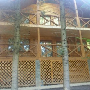 Фотография гостевого дома Ялинка