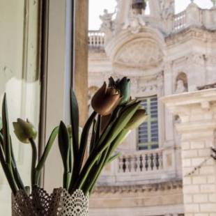 Фотографии мини отеля
La Collegiata Guest House