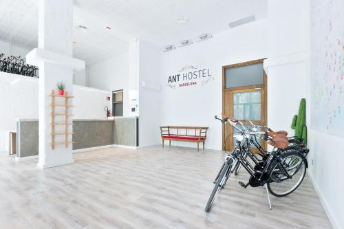 Фотография хостела Ant Hostel Barcelona