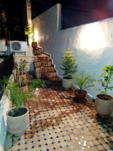 Фотография мини отеля Dar Hafsa