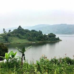 Фотографии базы отдыха
Byoona Amagara at Lake Bunyonyi