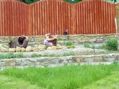 Фотографии гостевого дома
Изумруд