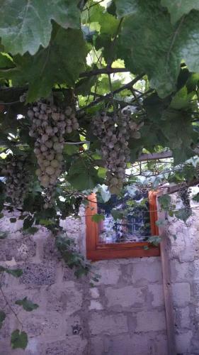 Фотография хостела У Игоря