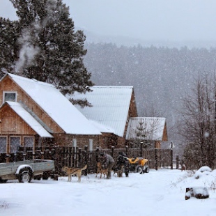 Фотография достопримечательности Центр ездовых собак