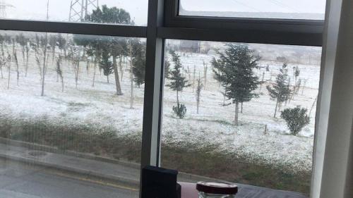 Фотография гостевого дома HILLVIEW