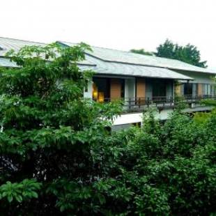 Фотографии мини отеля 
            Mitake