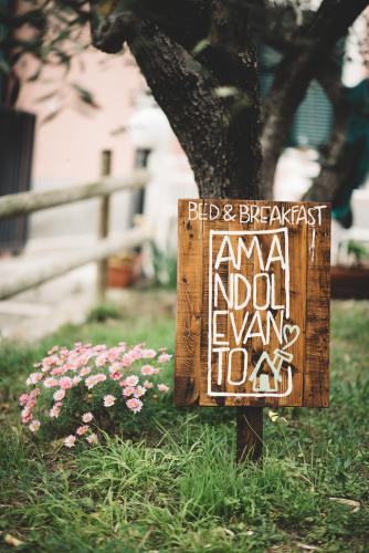 Фотография мини отеля Amandolevanto B&B