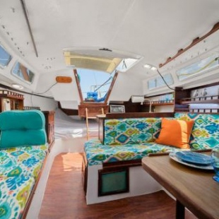 Фотография мини отеля Blue Oasis in Downtown St Augustine