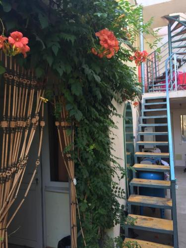 Фотография гостевого дома Надежда