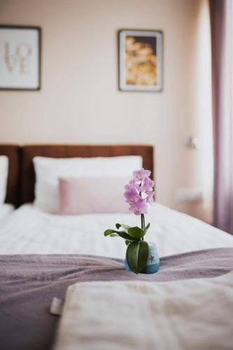 Фотография мини отеля Villa Paula