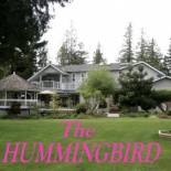 Фотография мини отеля Hummingbird Guesthouse