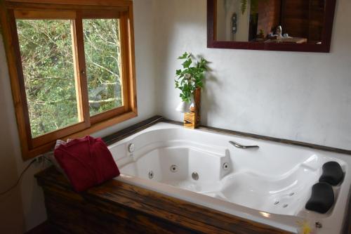 Фотография гостевого дома Recanto Vale da Serra Chalés