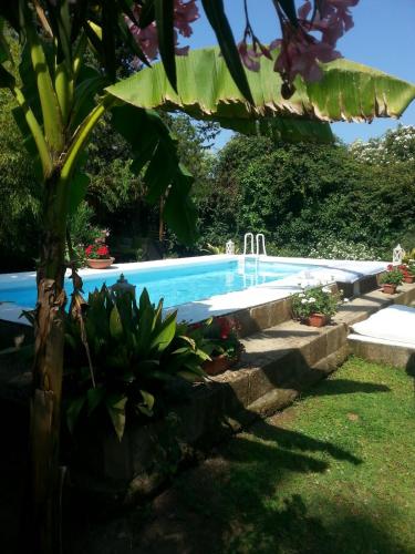 Фотография гостевого дома Appia Antica Cottage