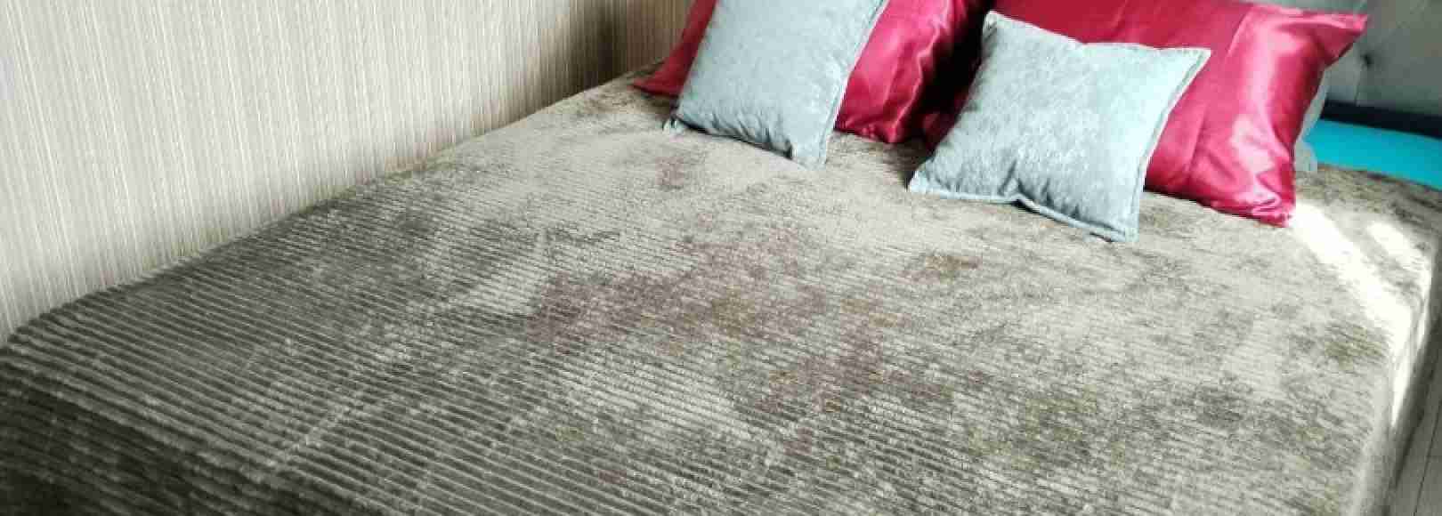 Фотография квартиры Квартина на Курганная 1П