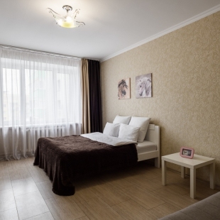 Фотография квартиры Апартаменты Однокомнатные на Дуки, 9 этаж, Лошадки