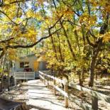 Фотография гостевого дома LOCATION! Nature Lovers Getaway - Close to Historic Downtown