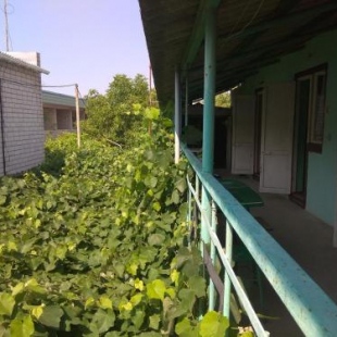 Фотография мини отеля У Татьяны