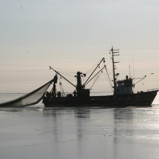 Фотография предприятий Рыболовецкий колхоз Дружба