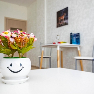 Фотография квартиры Cosmos (Космос) на улице Революции 48А