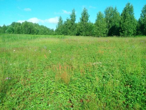 Фотографии гостевого дома 
            Селигерский хуторок