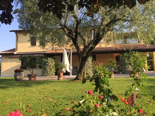 Фотография мини отеля Le Tre Querce B&B