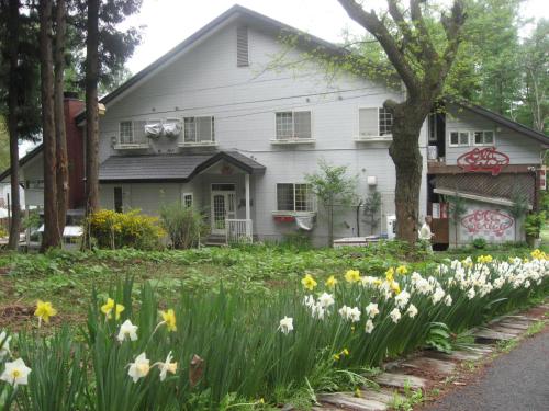 Фотография гостиницы Pension Old String