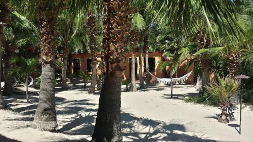 Фотография гостиницы Baja Joe's Hotel