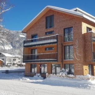 Фотография гостиницы Hotel Gretina