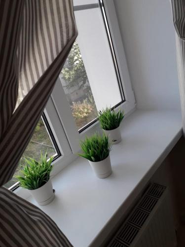 Фотография гостевого дома Миссис Смит