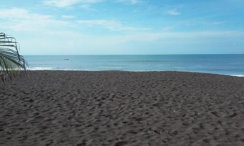 Фотография гостевого дома Villa Tortugas