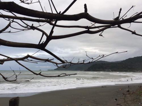 Фотография мини отеля Old Parola Seaside Cottages