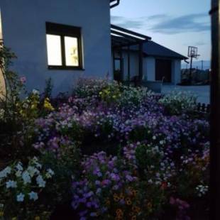 Фотографии гостевого дома
Casa Dora