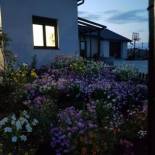 Фотография гостевого дома Casa Dora