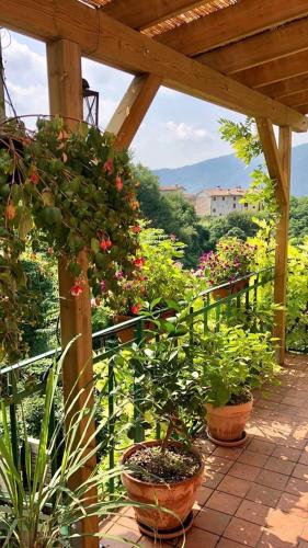 Фотография гостевого дома La Casa Rosa di Segusino (UNESCO ZONE)