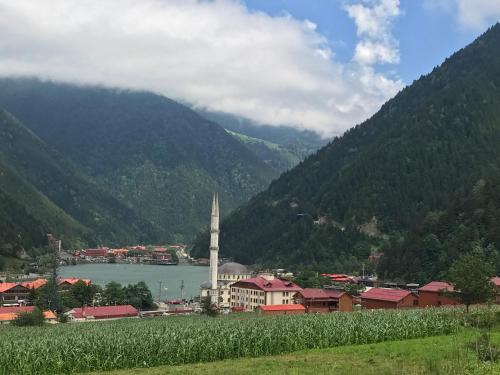 Фотография гостиницы Trend Suite Hotel