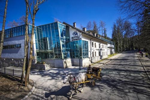 Фотография гостиницы Hotel Murowanica