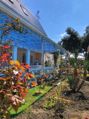 Фотография гостевого дома Баккарат