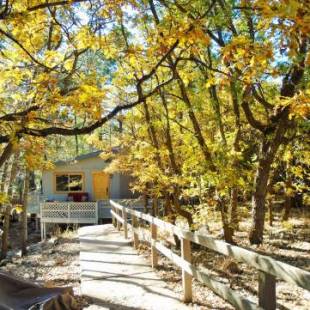 Фотографии гостевого дома 
            LOCATION! Nature Lovers Getaway - Close to Historic Downtown