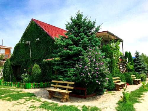 Фотографии гостевого дома
На Калинина, 347