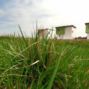 Фотографии гостевого дома
Ferienhaus XL mit Bademantelgang zur Sonnentherme